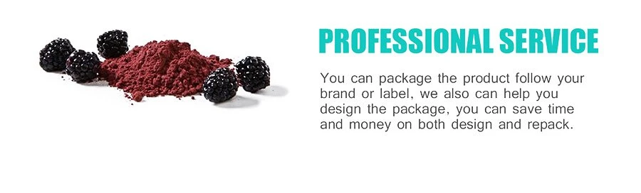 Bulk freeze dried fruit powder for baking.jpg