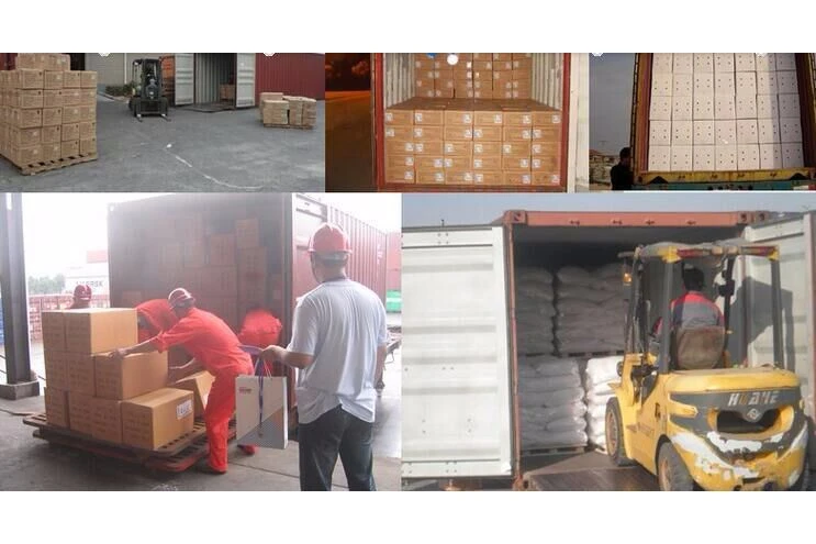 Próximamente, nuestros productos ya se transportan al puerto de Xiamen