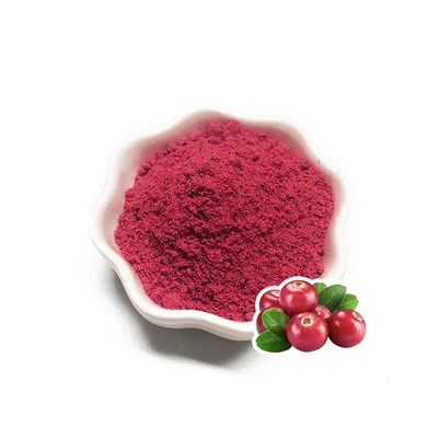 Polvo de fruta de arándano