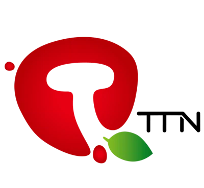 Tianjín  TTN  Tecnología  Empresa  Limitado.